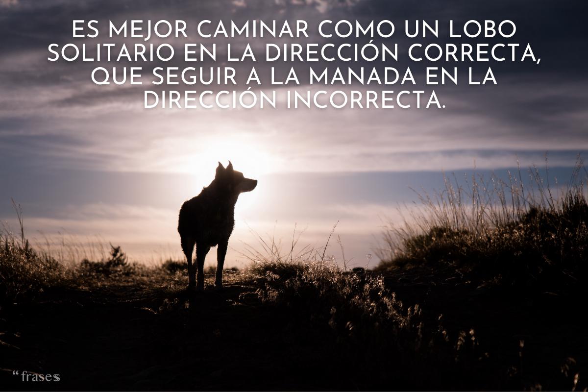 Frases de lobos