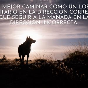 Frases de lobos