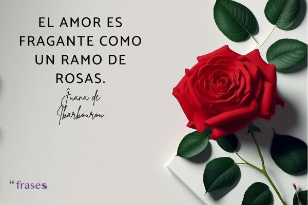 Frases de rosas - El amor es fragante como un ramo de rosas.