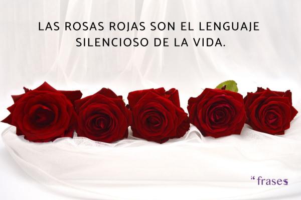 Frases de rosas