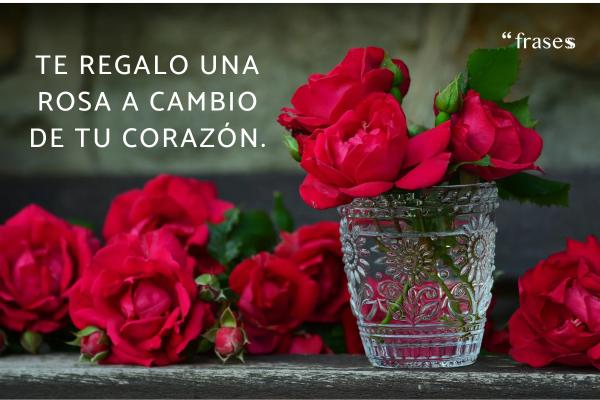 Frases de rosas - Te regalo una rosa a cambio de tu corazón.