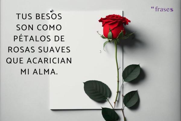 Frases de rosas - Tus besos son como pétalos de rosas suaves que acarician mi alma.