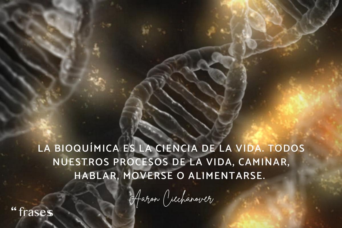 +50 Frases de QUÍMICA ORGÁNICA ¡Célebres y bonitas!