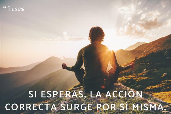 Frases de meditación y reflexión