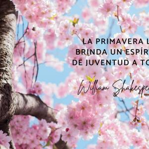 Frases de la primavera