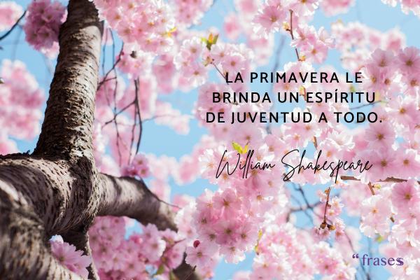 Frases de la primavera