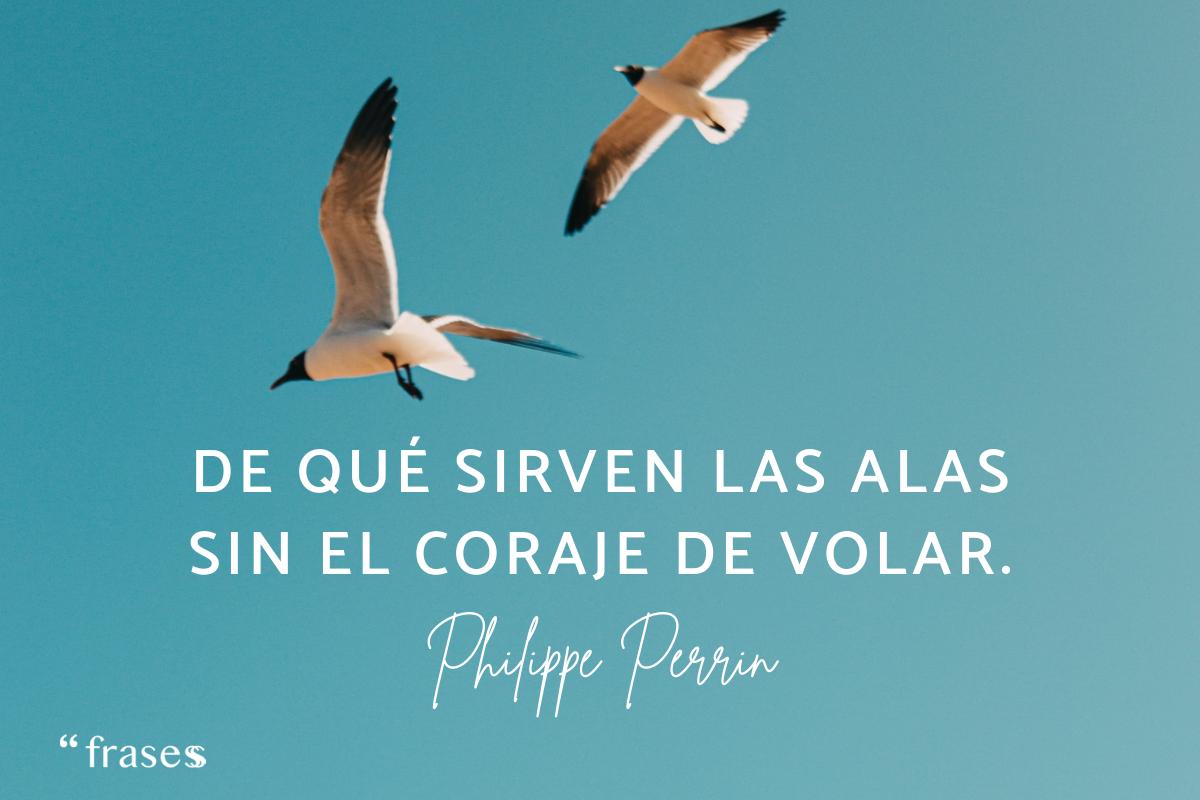 Frases de volar