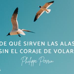 Frases de volar
