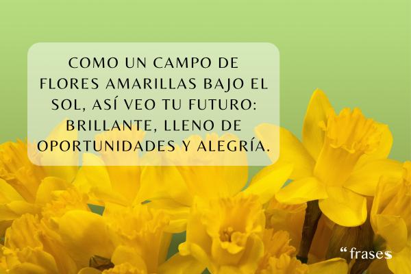 Frases de flores amarillas - Como un campo de flores amarillas bajo el sol, así veo tu futuro: brillante, lleno de oportunidades y alegría.