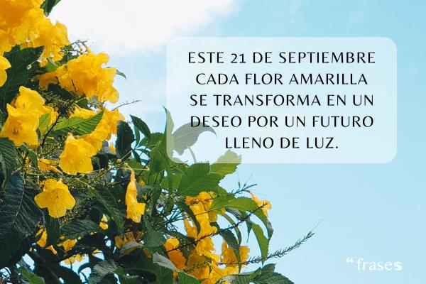 Frases de flores amarillas - Este 21 de septiembre es un día mágico cada flor amarilla se transforma en un deseo por un futuro lleno de luz.