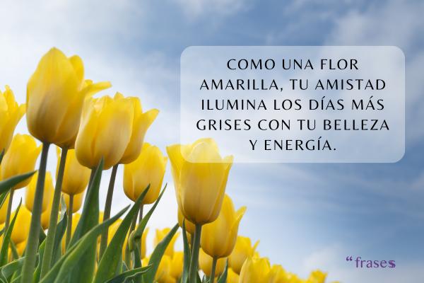 Frases de flores amarillas - Frases de flores amarillas para mi amiga