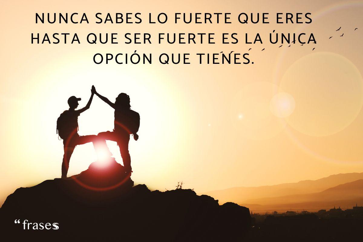 Frases que te enseña la vida