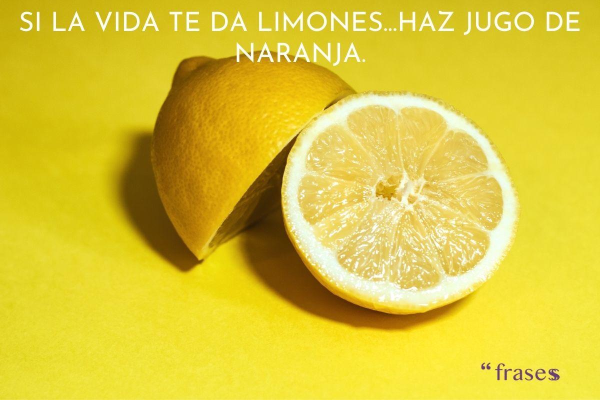 Frases absurdas