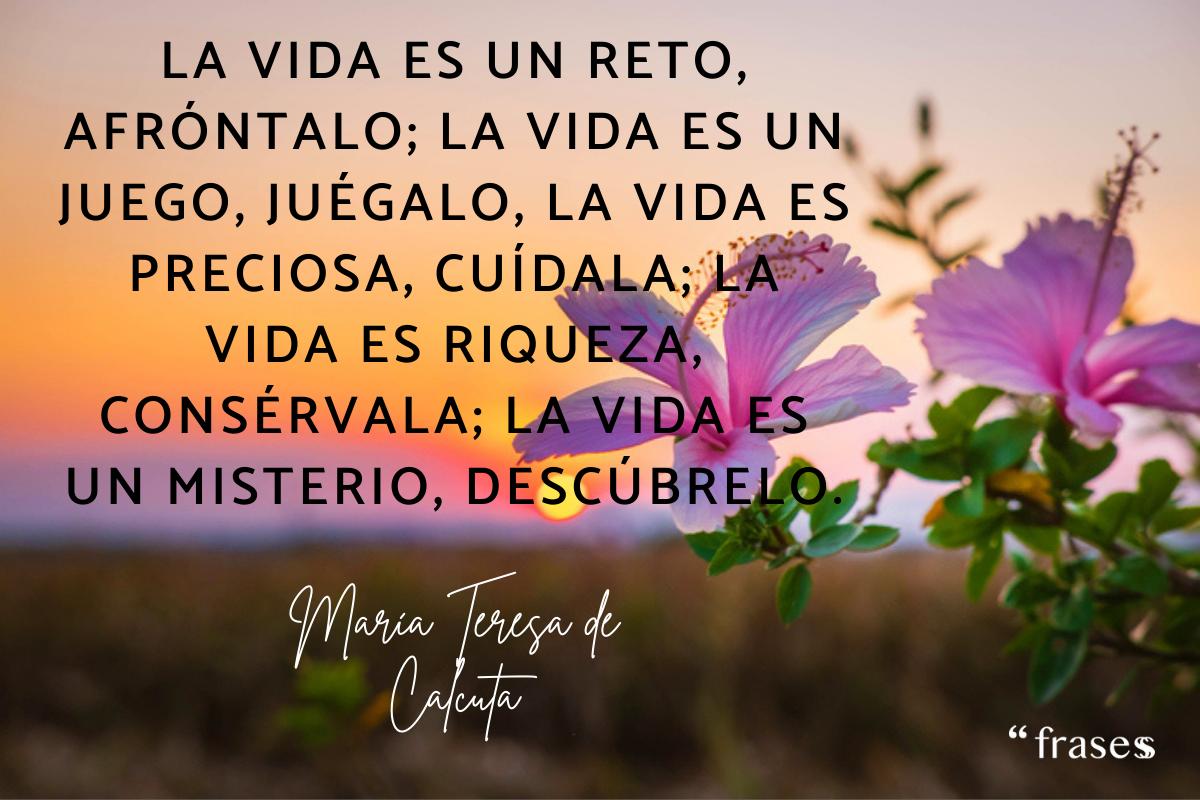Poemas cortos de la vida