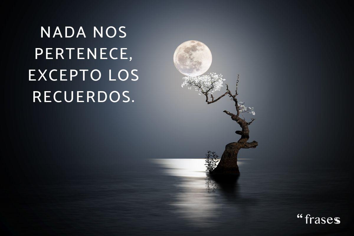 Frases conmovedoras para reflexionar