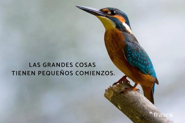 Frases conmovedoras para reflexionar - Las grandes cosas tienen pequeños comienzos.