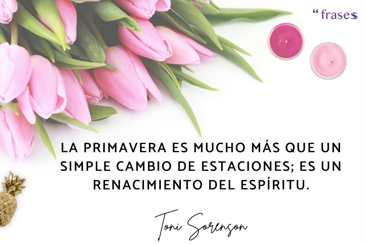 Frases sobre renacer cortas y bonitas