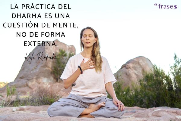 Frases de budismo tibetano - La práctica del dharma es una cuestión de mente, no de forma externa.