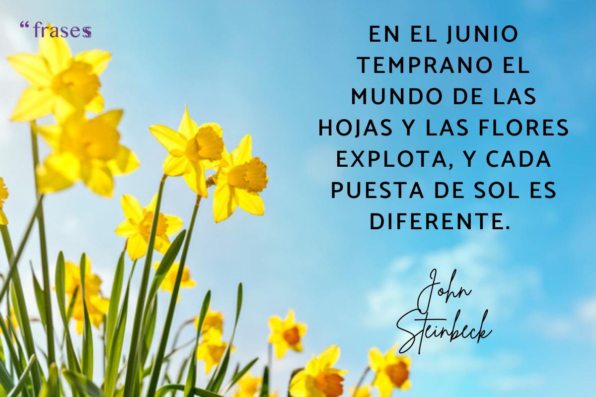 Frases de junio