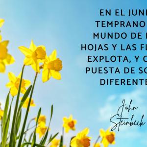 Frases de junio