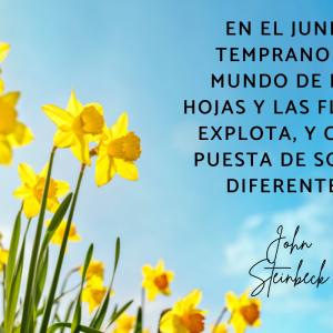 Frases de junio