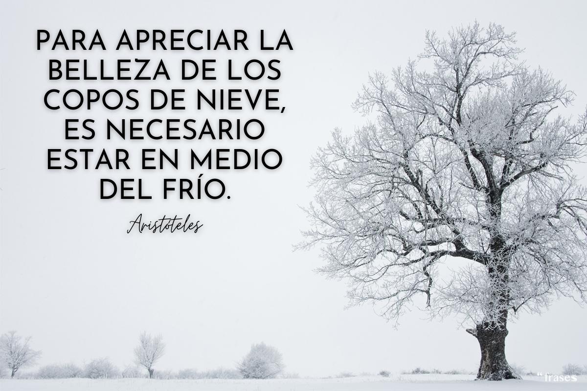 Refranes y frases de invierno