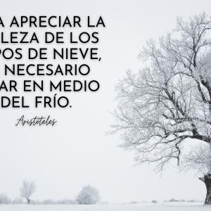 Refranes y frases de invierno