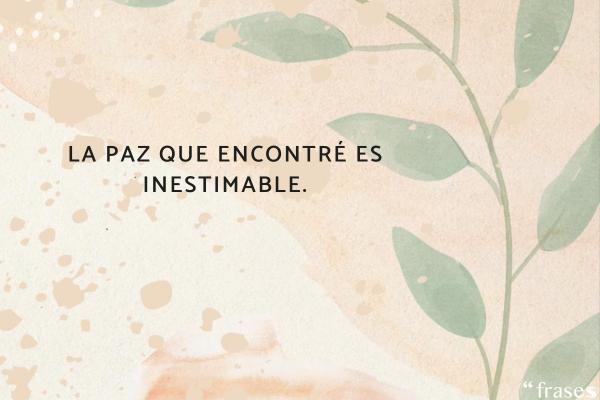 Frases de ya no me importas - La paz que encontré es inestimable.