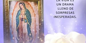 Frases de “La Rosa de Guadalupe”