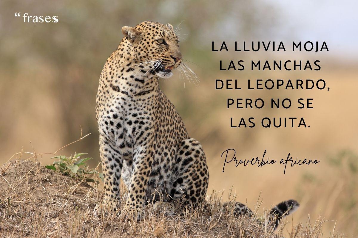 Proverbios africanos