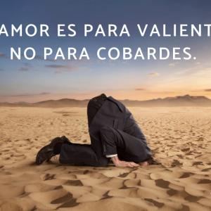 Frases de cobardes
