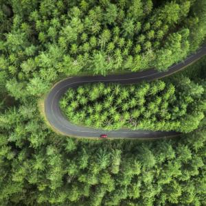 Frases del medio ambiente
