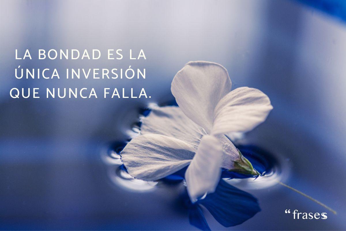 Frases sobre la bondad y hacer el bien