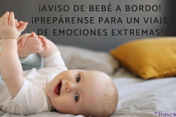 Frases de bienvenida para un bebé por nacer - ¡Aviso de bebé a bordo! ¡Prepárense para un viaje de emociones extremas!