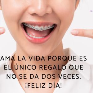 Frases para alegrar el día