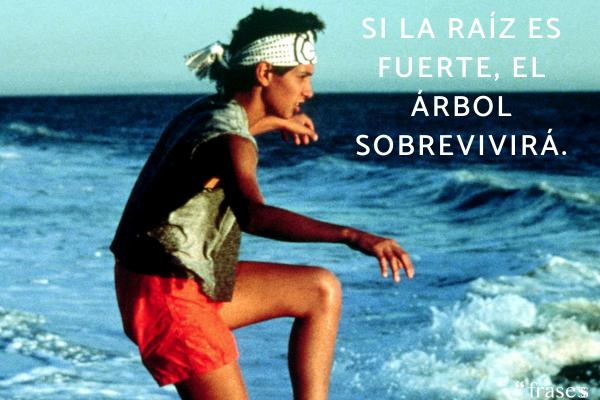 Frases de Karate Kid - Si la raíz es fuerte, el árbol sobrevivirá.