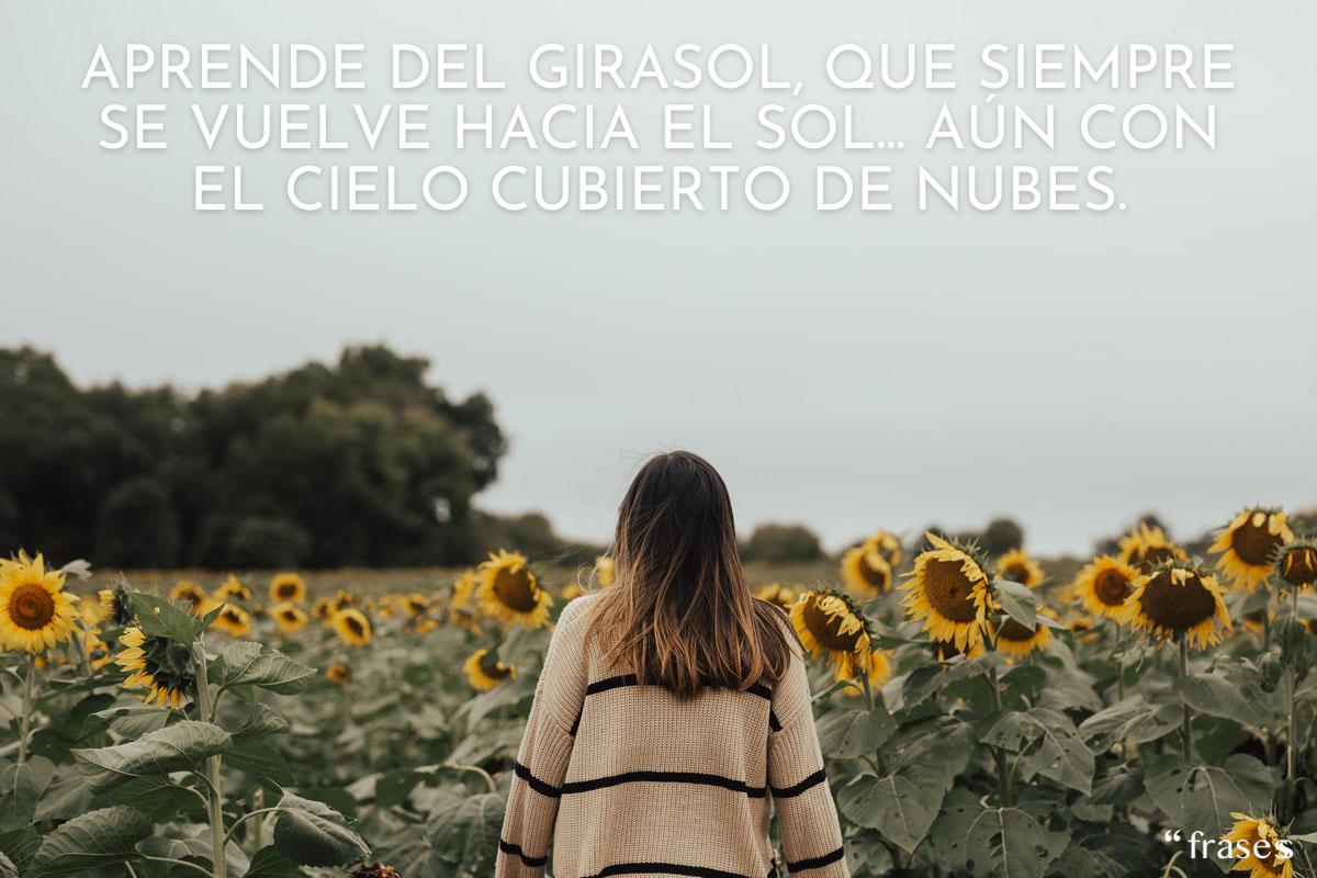 Frases de girasoles