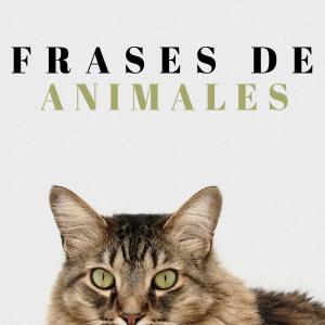 Frases de animales