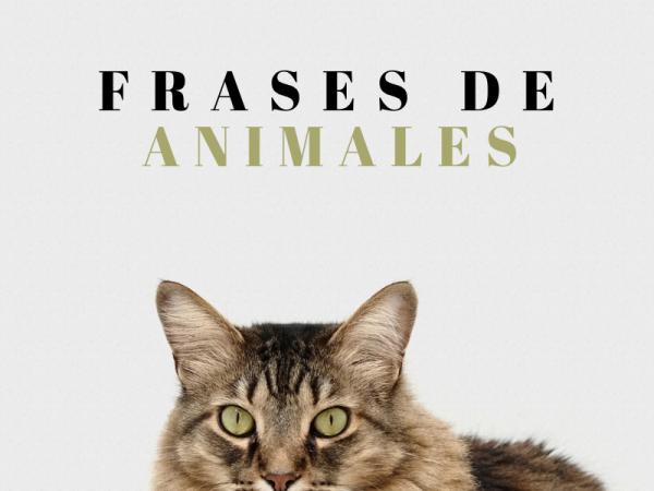 Frases de animales