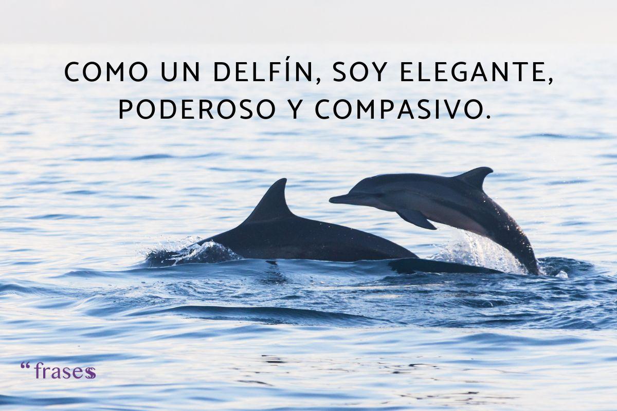 Frases de delfines