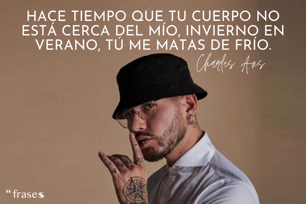 Frases de Charles Ans