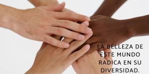 Frases contra la discriminación
