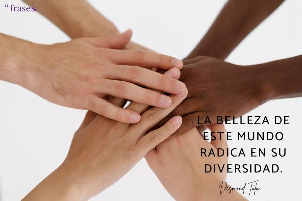Frases contra la discriminación