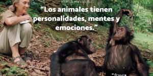 Frases de Jane Goodall: famosas e inspiradoras