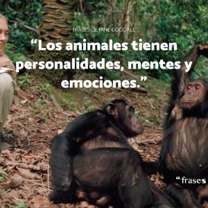 Frases de Jane Goodall: famosas e inspiradoras