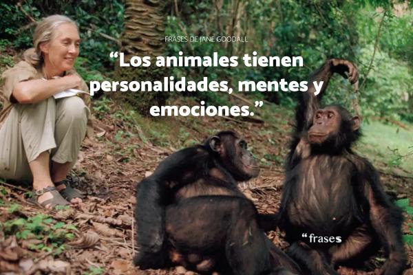 Frases de Jane Goodall: famosas e inspiradoras