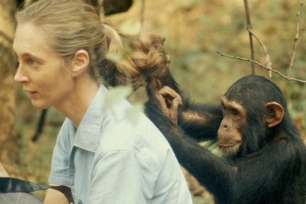 Frases de Jane Goodall: famosas e inspiradoras - Mirar a los ojos de un animal es descubrir un universo de emociones y conexiones.