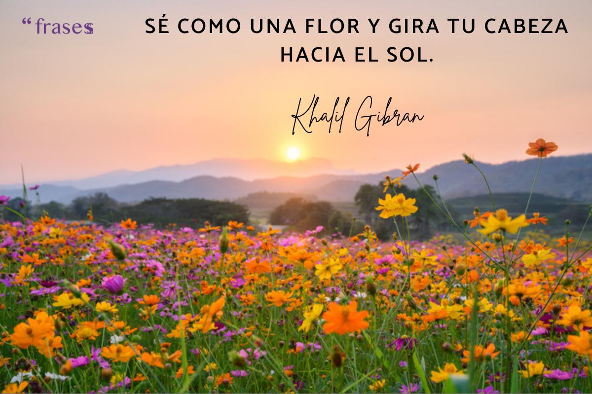 Refranes y frases de mayo