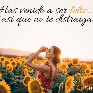 Frases para tu perfil de WhatsApp