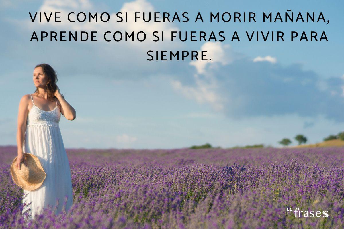 Frases que te llegan al corazón y te hacen llorar
